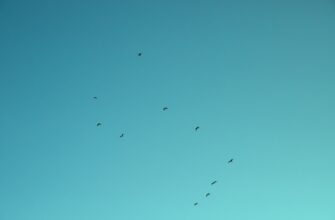 crypto airdrop september3