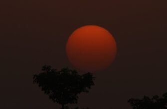 kriptovaljuta terra classic3
