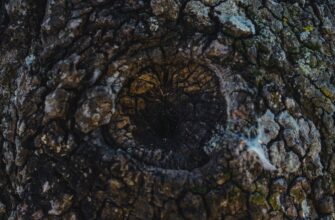 circle crypto2