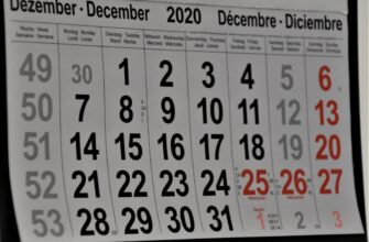 crypto airdrop january 20254