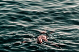 davat v lending ada na kraken staking