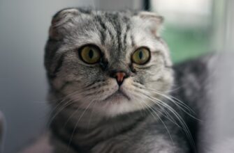 fjuchersnaja torgovlja bitkoin na huobi nizkij risk