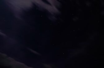 grid bot eth na bybit poshagovo