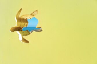 kak poluchit besplatno usdt airdrop proverennyj