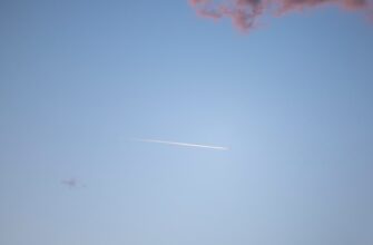 kak zabrat testnet token airdrop bez vlozhenij