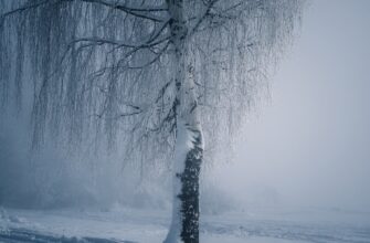 kriptovaljuta cold2