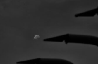 kriptovaljuta dark2