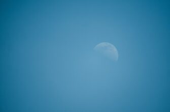 kriptovaljuta moon2
