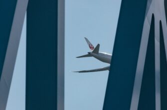 kriptovaljuta wing2