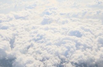 legalno li airdrop dohod v kazahstane shtrafy