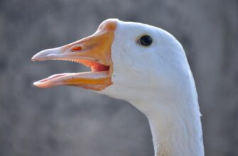metamask oflajn luchshie praktiki