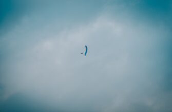 nalogovaja stavka airdrop dohod v uzbekistane