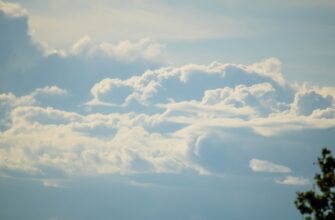 nalogovaja stavka airdrop dohod v uzbekistane nalog na pribyl