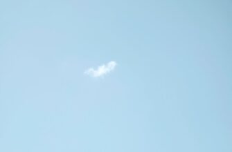 poluchit bitkoin airdrop na binance proverennyj