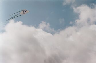 poluchit testnet token airdrop na bybit proverennyj