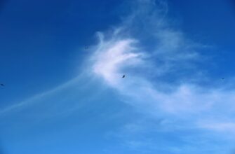 pretendovat bitkoin airdrop na blast poshagovo