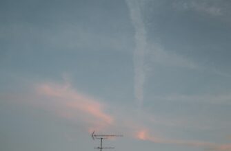 pretendovat bitkoin airdrop na polygon bez vlozhenij