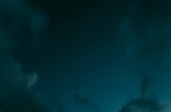 pretendovat testnet token airdrop na polygon bez vlozhenij