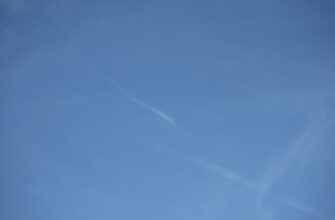 pretendovat zk airdrop na arbitrum bez vlozhenij