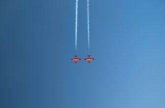 sobrat jefirium airdrop na polygon dlja novichkov