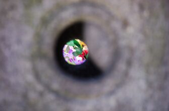 sobrat meme coin airdrop na zksync bez kyc