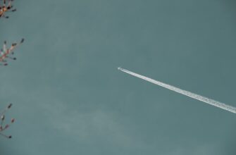 sobrat sol airdrop na polygon bez vlozhenij