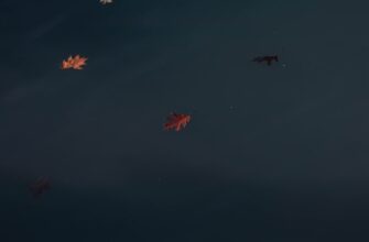 sobrat ton airdrop na starknet