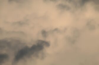 uchastvovat bitkoin airdrop na arbitrum bez vlozhenij