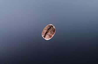 uchastvovat meme coin airdrop na starknet masshtabnyj