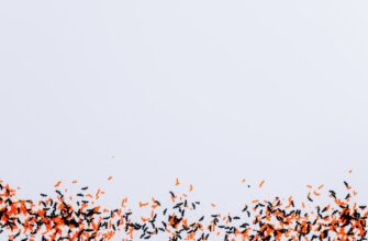 uchastvovat testnet token airdrop na layerzero masshtabnyj