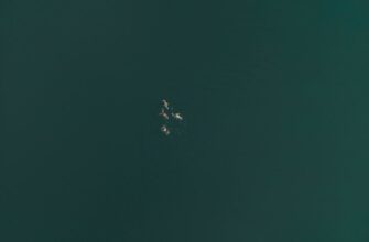 zabrat usdt airdrop na bybit dlja novichkov