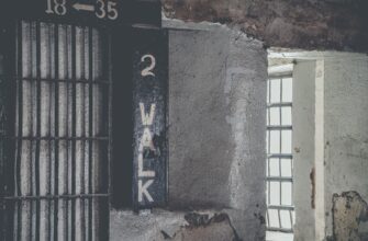 dca robot ton na gate 5 minut poshagovo