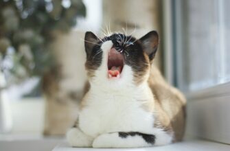 derzhat v pule likvidnosti usdt na aave bez komissij