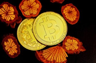kak kupit btc za belorusskie rubli nalichnymi