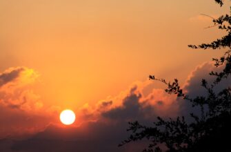 kak prodat sol za som nalichnymi v tbilisi poshagovo
