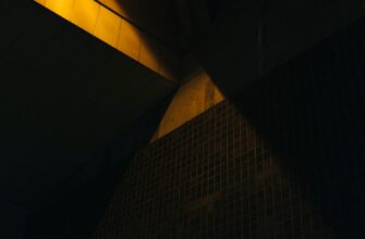 kak vosstanovit metamask bez kyc dlja novichkov