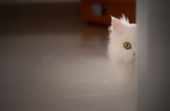metamask v holodnom hranenii nizkaja stoimost