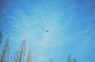 nalogovaja stavka airdrop dohod v kazahstane dlja novichkov