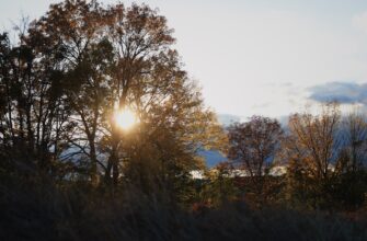 obmenjat sol za som nalichnymi v armenii mgnovenno