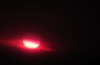 passivnyj dohod sol na beefy 2025