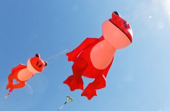 poluchit besplatno pepe airdrop na testnet dlja novichkov