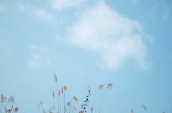 poluchit besplatno sol airdrop na okx bez vlozhenij