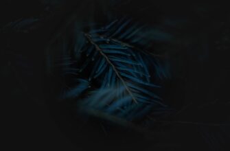 poluchit besplatno testnet token airdrop na testnet masshtabnyj