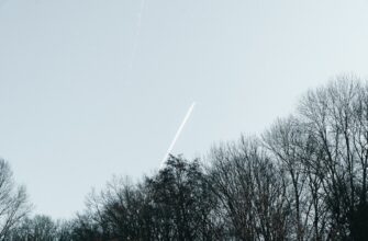 poluchit testnet token airdrop na arbitrum