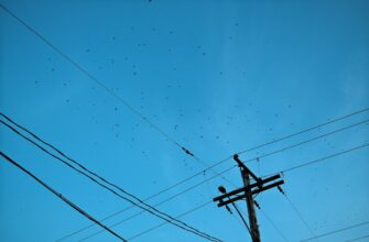 poluchit testnet token airdrop na binance bez kyc