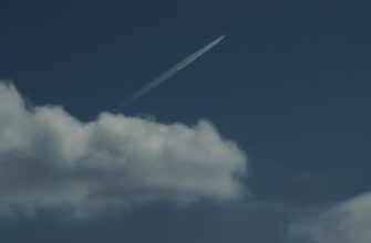 poluchit testnet token airdrop na testnet spisok 2025