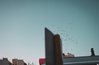 poluchit ton airdrop na starknet bez vlozhenij