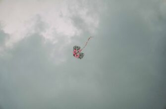 pretendovat bitkoin airdrop na testnet dlja novichkov