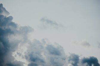 pretendovat testnet token airdrop na layerzero bez komissii