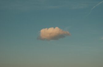 pretendovat ton airdrop na binance masshtabnyj